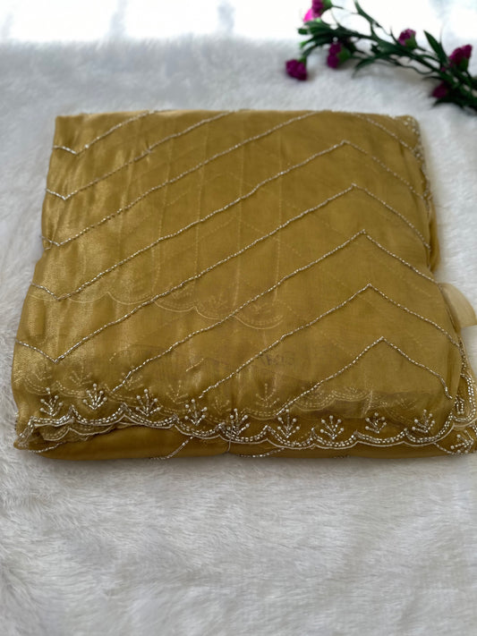 Fine Cutdana Tissue Saree