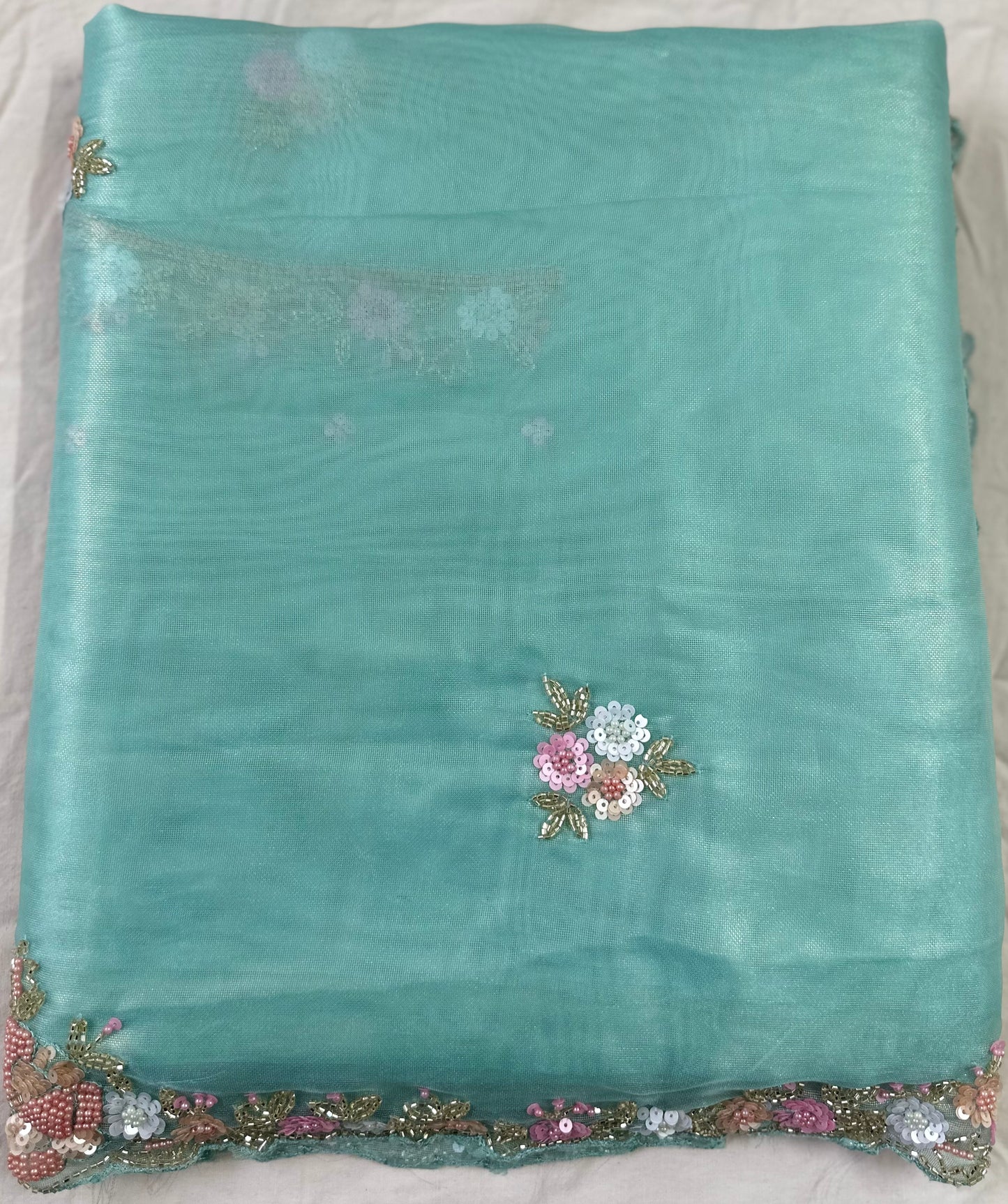 Mint Green Pure Shimmer Tissue Handwork Saree